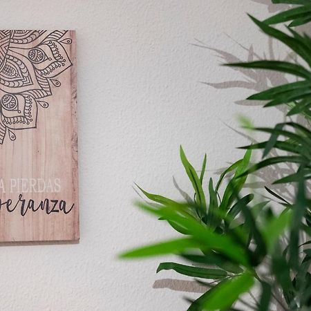 La Casina De Leo Y Mia - Centro De Gijon 6P - Wifi - Vut-3398-Asアパートメント エクステリア 写真
